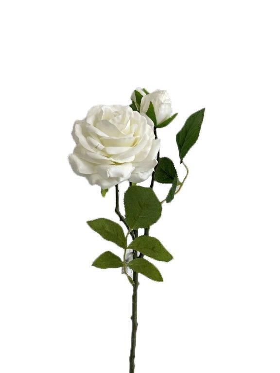 ROSA C/2 BOCCIOLI H.45 CM **24/240** WHITE (EM35W)