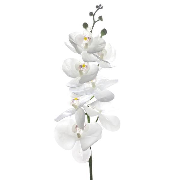 ORCHIDEA CM.97 WHITE *1/12/120/360* (EM45W)