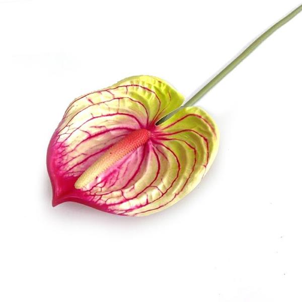 ANTHURIUM L.67 CM **72-432** PINK (EM57P)