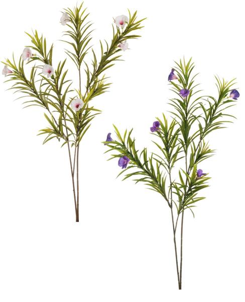 OLEANDER GIANT BRANCH X3 W/REAL T.