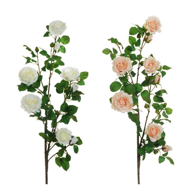 GARDEN ROSE LONG BRANCH W/COATED