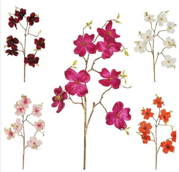 CORNIOLO SPRAY W/7 FLWS & GOLDEN ST