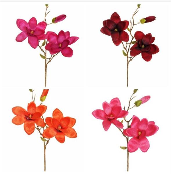MAGNOLIA SPRAY X3, W/2 FLWS, 1 OPEN