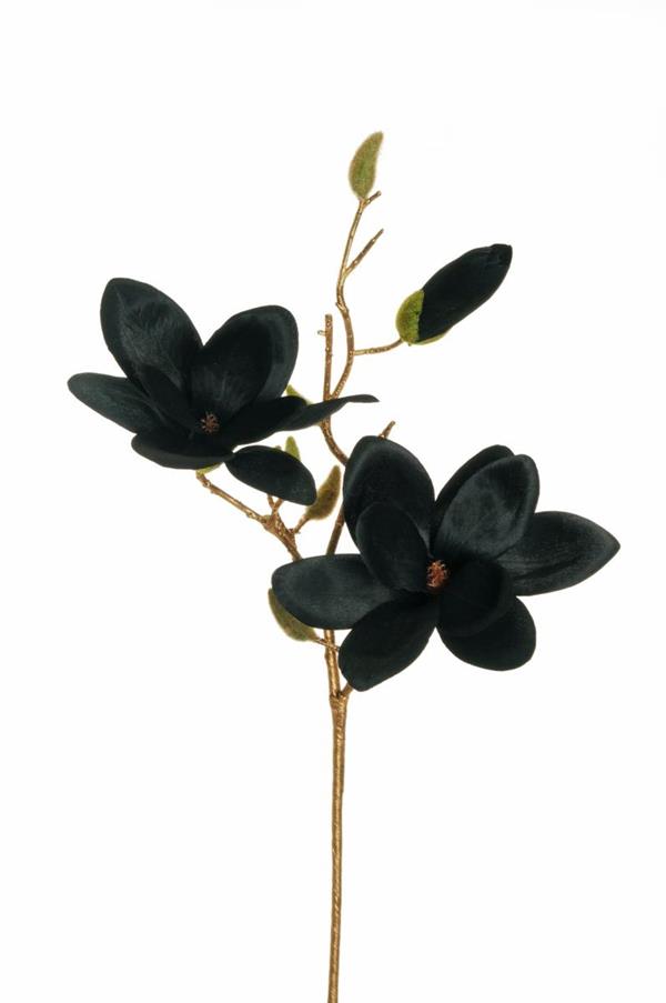 MAGNOLIA SPRAY X3, W/2 FLWS, 1 OPEN BLACK 80-376817