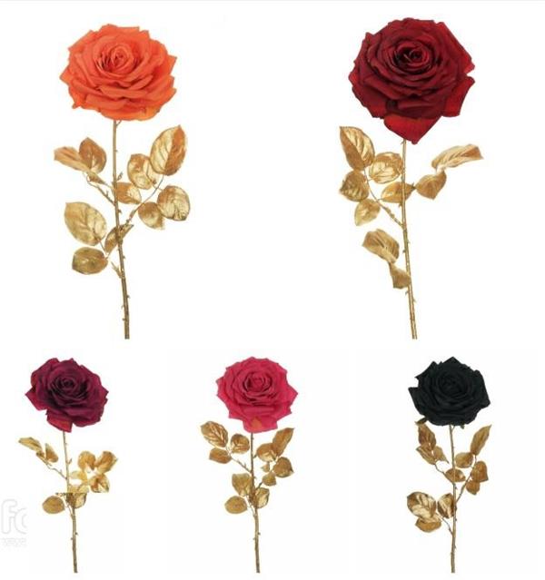 REGINA ROSE W/GOLDEN STEM & LVS HOL