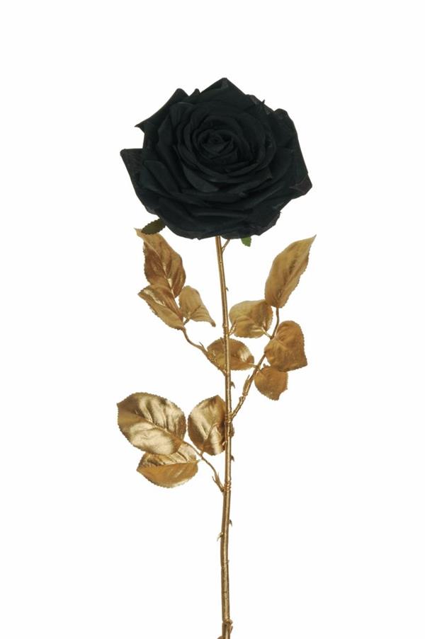 REGINA ROSE W/GOLDEN STEM & LVS HOL BLACK 80-376824