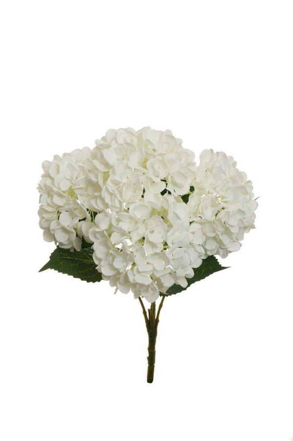 JULIET HYDRANGEA BUSH X5, 50 CM *1/6* WHITE 80-417626