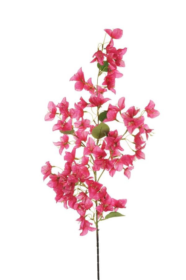 BOUGAINVILLEA LONG BRANCH, 118 CM. FUXIA 80-451965
