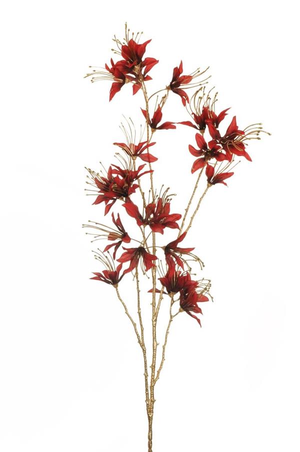 HIBISCUS LONG BRANCH W/BIODEGRADABL
