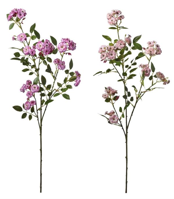 RAMO ROSELLINE X3 CM 22*22*100