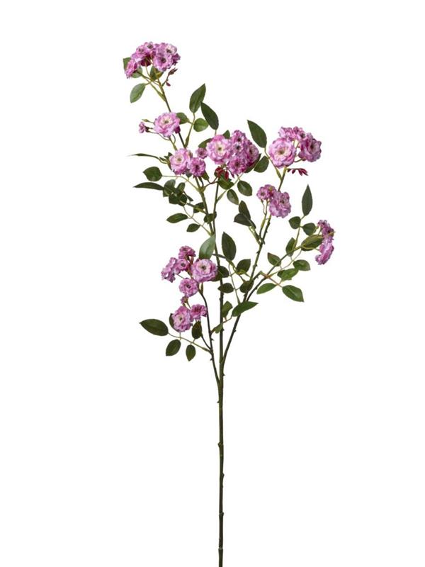 RAMO ROSELLINE X3 CM 22*22*100 BEAUTY