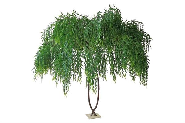 WILLOW TREE W/30 HANGING BR.LVS NAT TRUNKS H 280 CM 80-454010