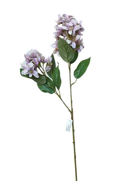 RAMO LILLA' X2 70 CM