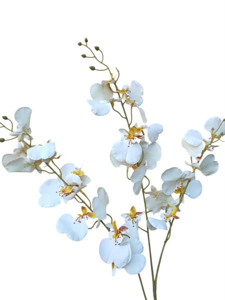 RAMO DANCING ORCHID CM 16*16*89CM