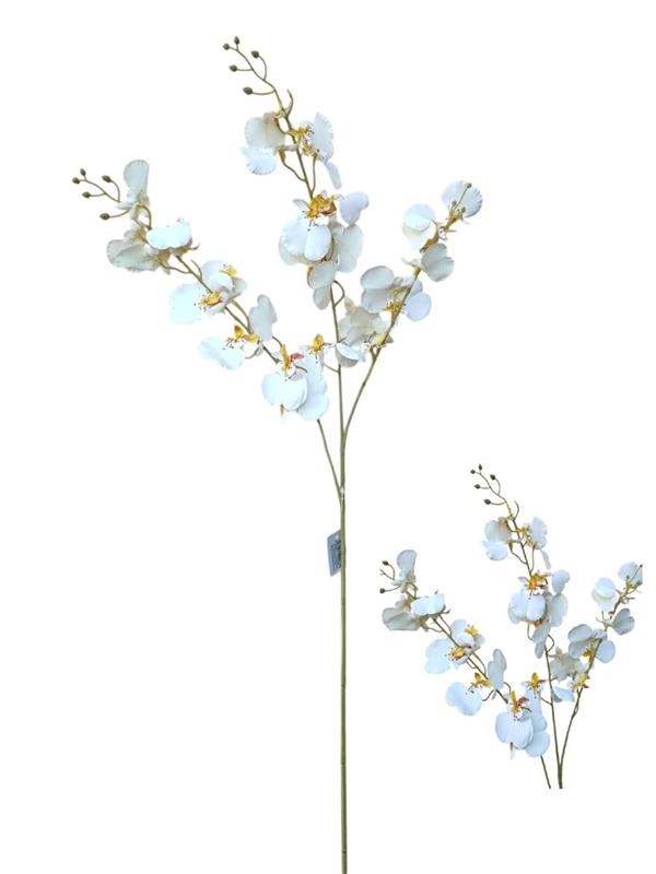 RAMO DANCING ORCHID CM 16*16*89CM WHITE