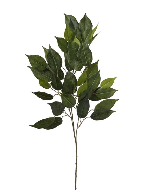RAMO FICUS X 42 71 CM