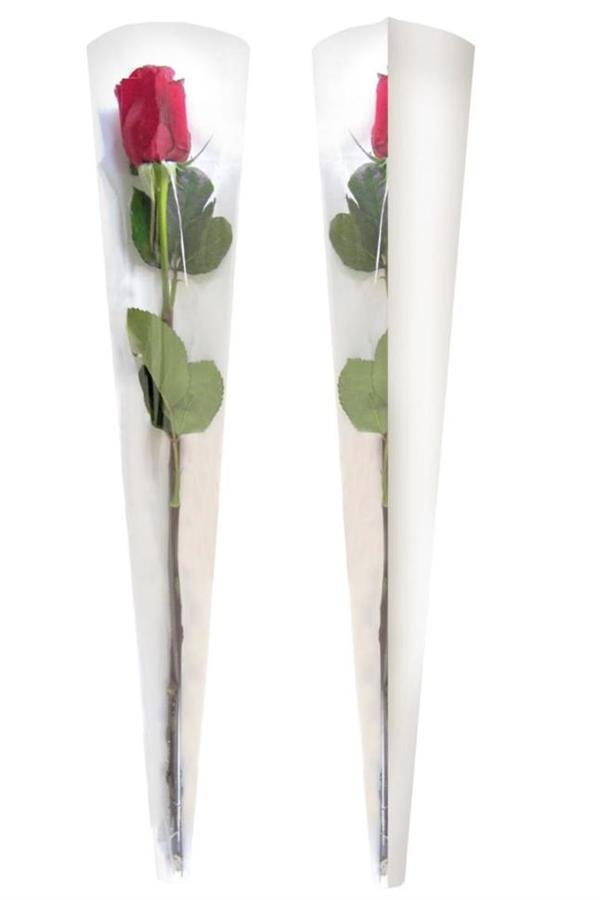 SINGLE STEM SLEEVE 80x14x3CM NEUTRO CF.50PZ