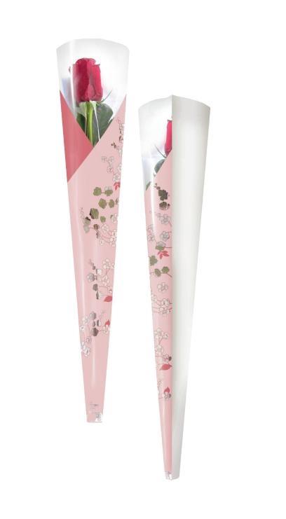 SLEEVE CONO ROSA ELISISABETH CF.50PZ 55x13.5x3CM