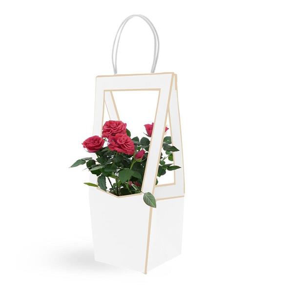MEDAILLON SMALL 118*120*350mm CF.5PZ BIANCO 38I1106