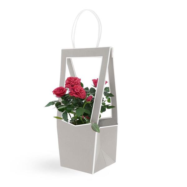 MEDAILLON SMALL 118*120*350mm CF.5PZ GRIGIO 38I1104