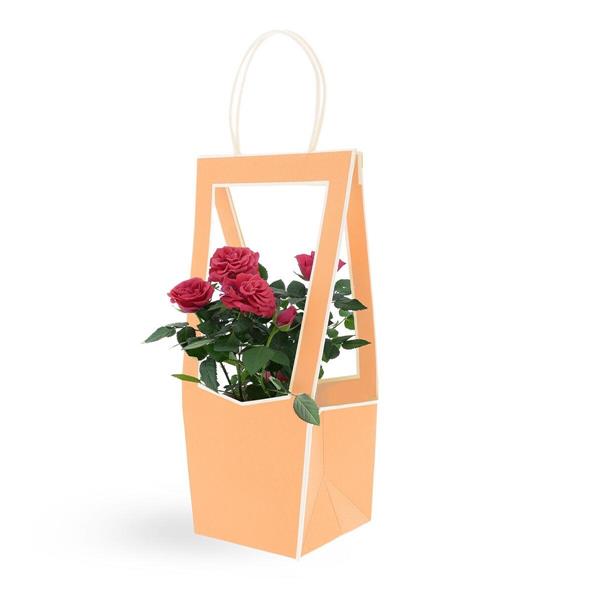 MEDAILLON SMALL 118*120*350mm CF.5PZ PESCO 38I1112