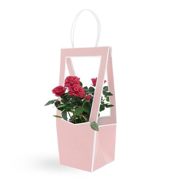 MEDAILLON SMALL 118*120*350mm CF.5PZ ROSA 38I1103