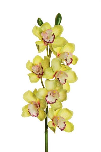 CYMBIDIUM SPRAY W/7 REAL TOUCH FLWS,PVC LT GREEN 80-461070 *1/6*