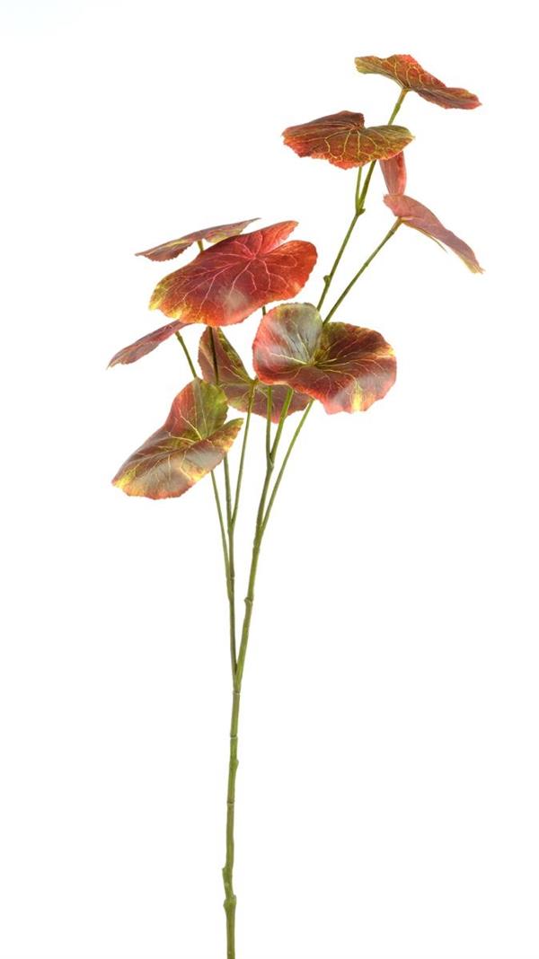 BEGONIA SPRAY W/9 LVS WINE/RED *1/12*
