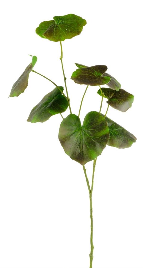 BEGONIA SPRAY W/9 LVS BROWN - GREEN *1/12*