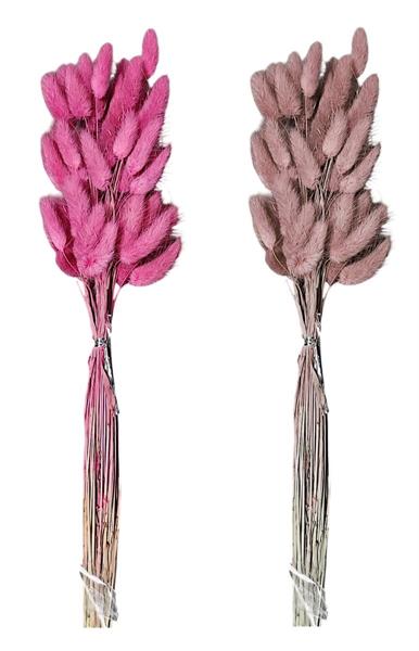 CODA DI LEPRE H.65CM