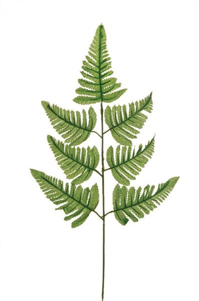 FERN SPRAY W/7 LVS, 58,5 CM.GREEN *1/24*