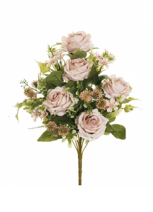 ECUADOR ROSE,PL BUSH X12,44 CM. *1/12/72* ANT PINK 80-441195
