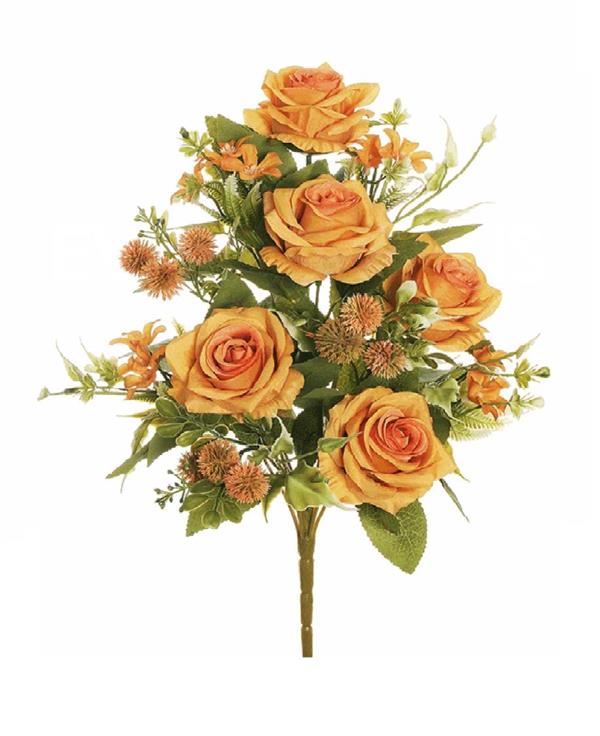 ECUADOR ROSE,PL BUSH X12,44 CM. *1/12/72* ORANGE 80-441188