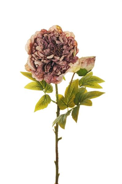 DRY-LOOK SILK PEONY SPRAY X2 58 CM *24/288*