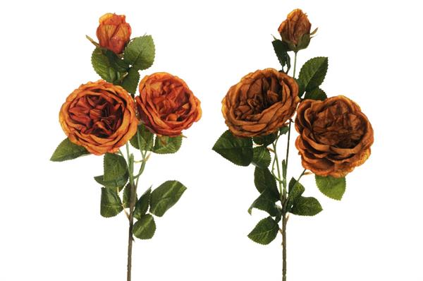 AUSTIN ROSE SPRAY X3 56CM MUSTARD/AUT ORANGE *24/120*