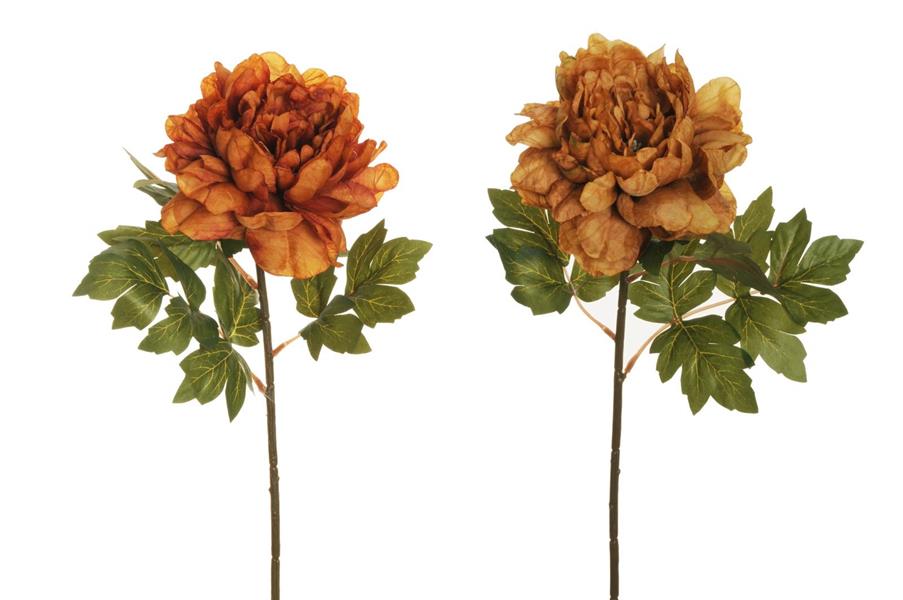 PEONY W/3 SETS OF LVS 58CM MUSTARD/AUT ORANGE *24/240*