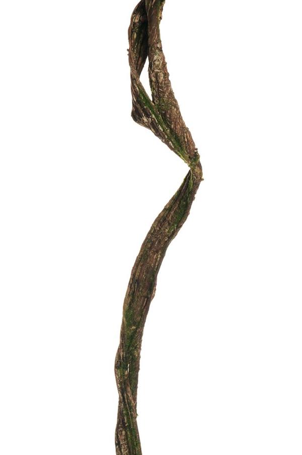 DOUBLE TANGLED COATED LIANA W/MOSS, 160 CM