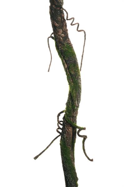 CORED LIANA W/FOAM TOUCH,TWIGS & MOSS, D.4CM,180CM *1/20*