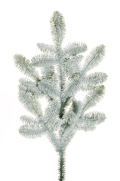 PLASTIC NOBILIS PINE BRANCH W/COTTON WHITE *1/6*