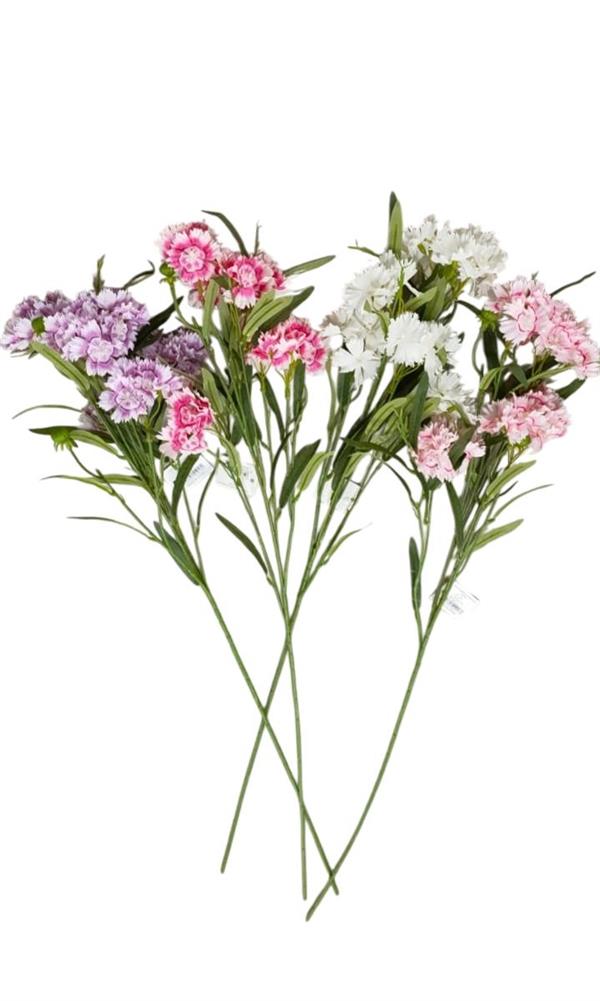 DIANTHUS 6 HEADS L.58CM *1/36/360*