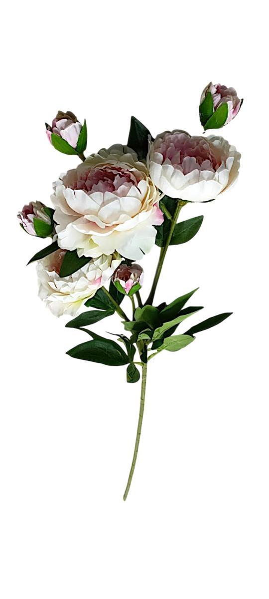 PEONIA 3 HEADS + 4 BUDS L.76CM *1/36/216* CREAM/PINK EM118/CP