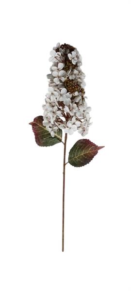 RAMO ORTENSIA L.82CM *1/12/96*