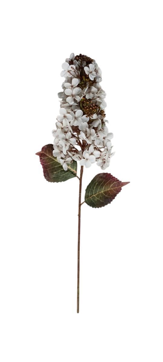 RAMO ORTENSIA L.82CM *1/12/96*