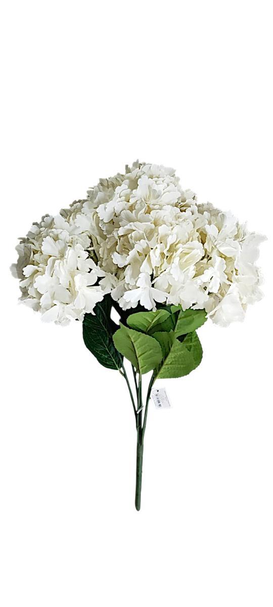 BUSH ORTENSIA 6 HEADS L.53CM *1/12/36*