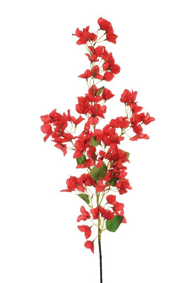 BOUGAINVILLEA LONG BRANCH,118 CM RED 80-451910 *1/24*