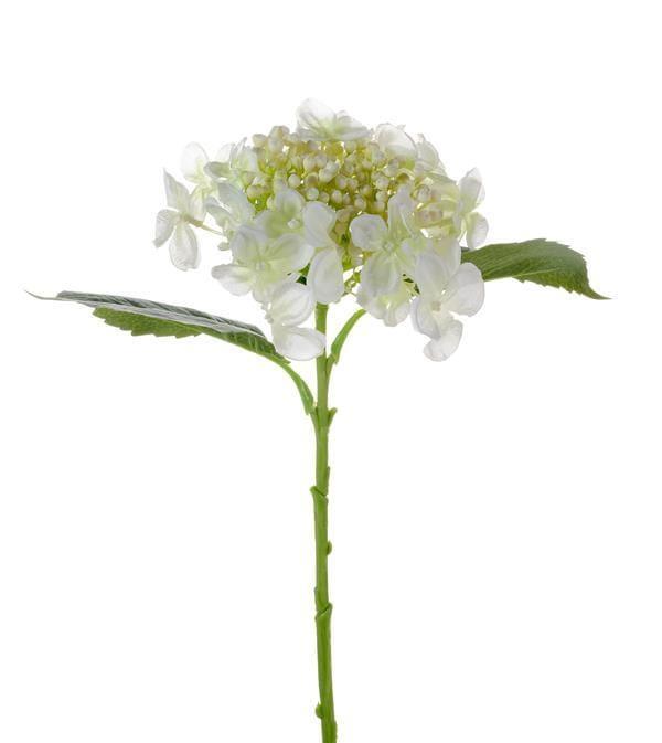 HYDRANGEA SPRAY 45CM *1/12* CREAM