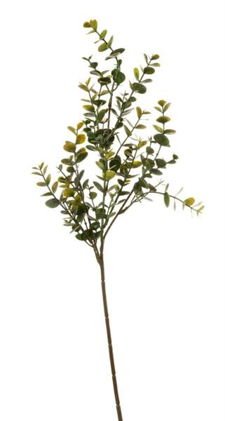 60CM EUCALIPTUS SINGLE BRANCH *1/12*