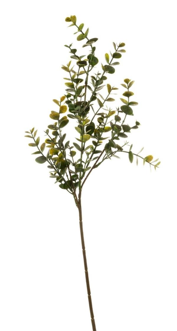 60CM EUCALIPTUS SINGLE BRANCH *1/12* GREEN