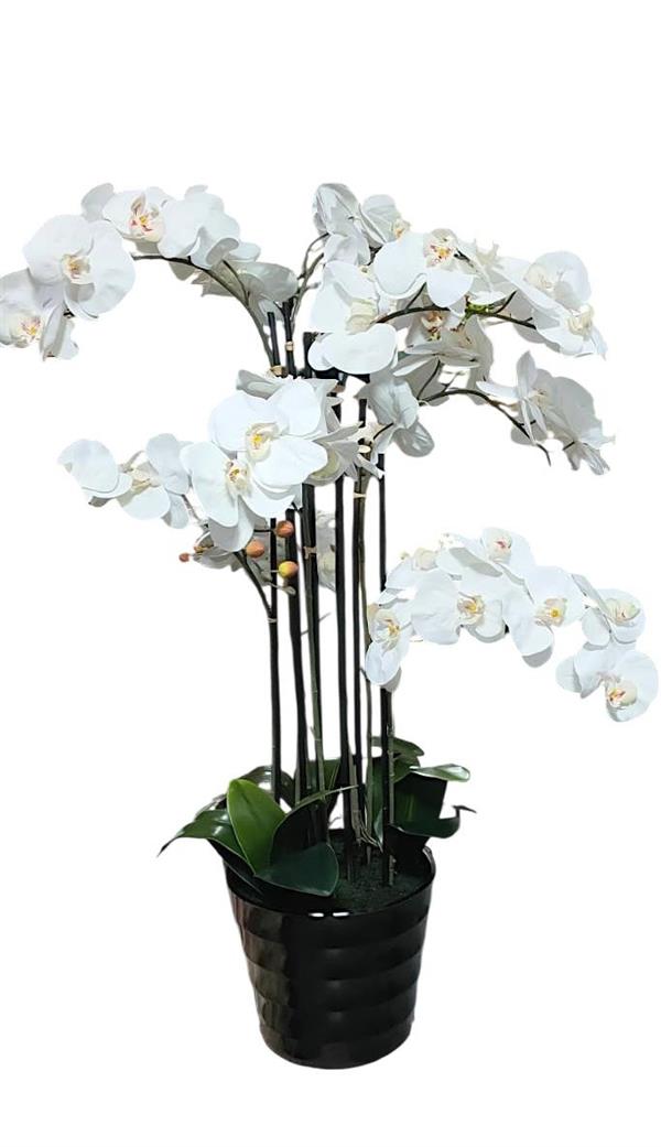 111 CM REAL TOUCH PHALENOPSIS POT X 8 BRANCHES WHITE