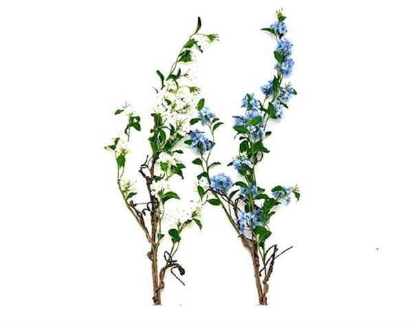 H150CM PLUMBAGO STEM
